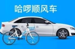 [4分钟教程]迪庆藏族自治州投资促进局_哔哩哔哩-2